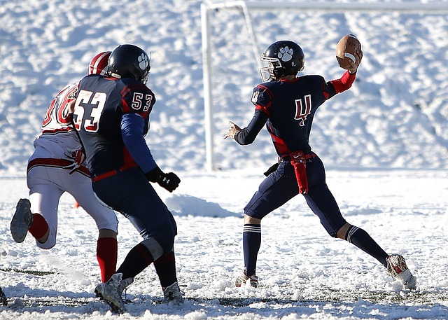 在职业体育 在职业体育