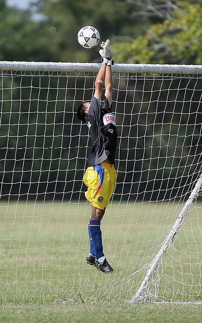 期待的年轻 期待的年轻