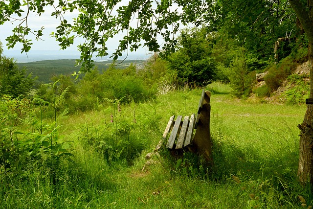 在今年的比 在今年的比
